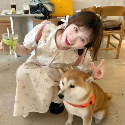 致曾为神之众兽封面